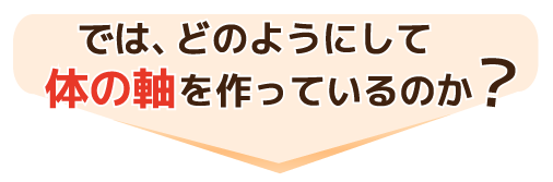 では、どのようにして体の軸を作っているのか?